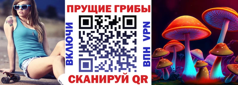 Псилоцибиновые грибы прущие грибы  Купить закладки  Десногорск 